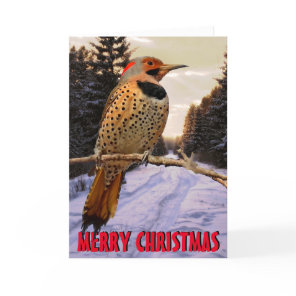Cute woodpecker Christmas Card