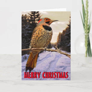 Cute woodpecker Christmas Card