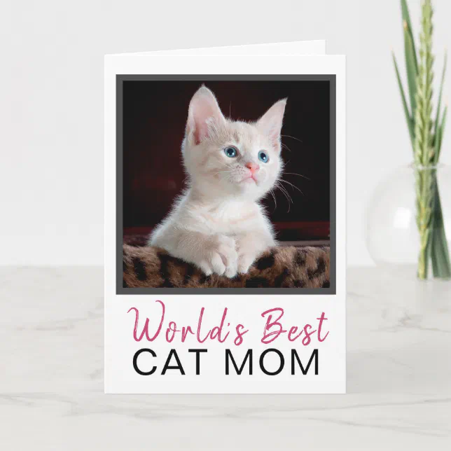 Cute World's Best Cat Mom Cat Photo Birthday Card | Zazzle