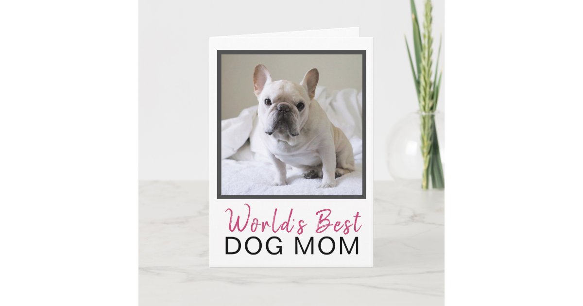 Cute World's Best Dog Mom Dog Photo Birthday Card | Zazzle