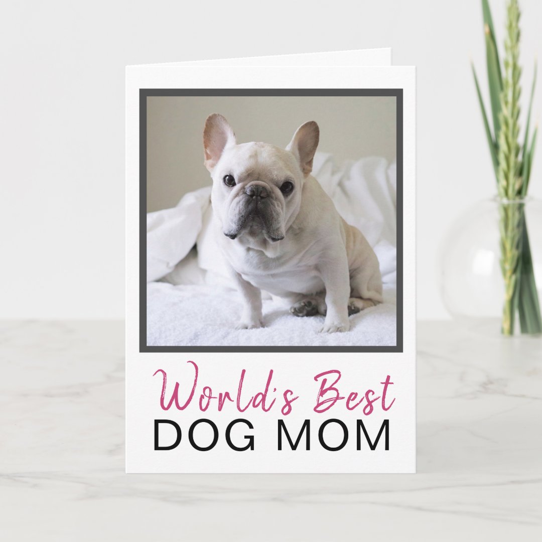 Cute World's Best Dog Mom Dog Photo Birthday Card Zazzle