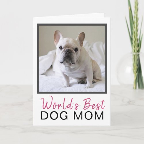 Cute Worlds Best Dog Mom Dog Photo Birthday Card