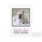 Cute World's Best Dog Mom Photo Mother's Day