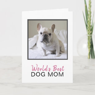 Mum Birthday Card Thanks Mum Birthday Cards from The Dog Family Pet Cards Fun PC274 Novelty Cards Dog Cards Funny Cards from The Dog 