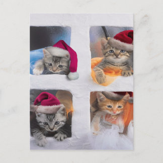 Cute X-mas kittens in windows Postcard
