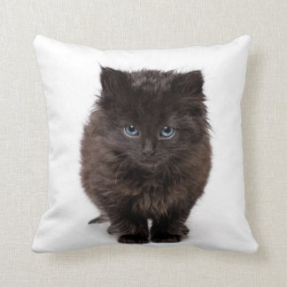 Cute yawning kitty on a pillow