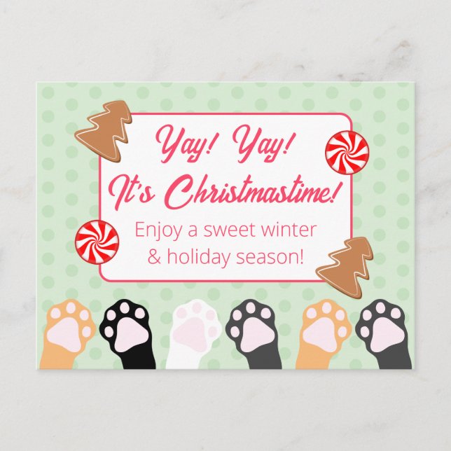Cute Yay Yay Its Christmastime Cat  Holiday Postcard (Front)
