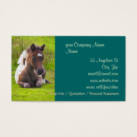 Cute Yearling Foal business cards