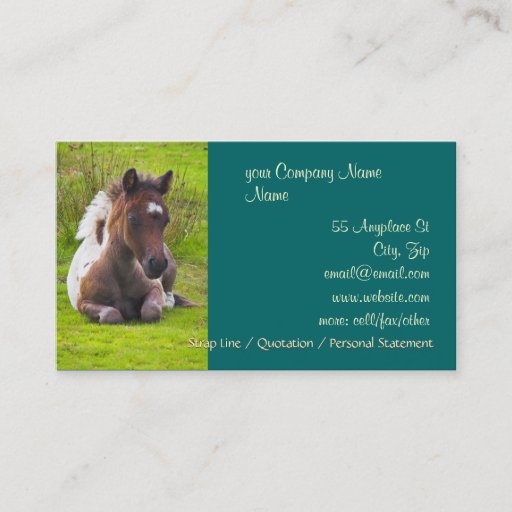 Customizable Cute Yearling Foal business cards