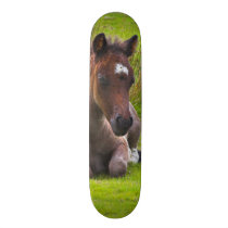 Cute Yearling Foal skateboard deck