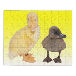 Cute Yellow and Gray Ducklings Photograph Jigsaw Puzzle