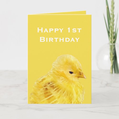 Cute yellow baby Chick  1st Happy Birthday Card