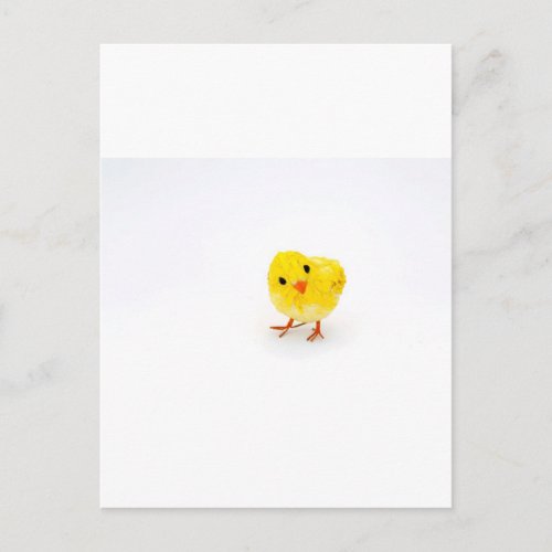 Cute yellow baby chick postcard