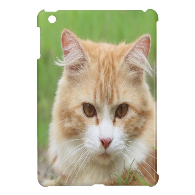 Cute yellow cat iPad mini case (Back)