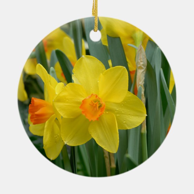 Cute Yellow Daffodil Spring Flowers Floral Ceramic Ornament (Back)