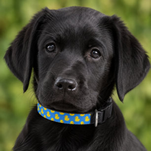 Cute Yellow Duck On Blue Background Pattern Pet Collar