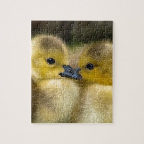 Cute Yellow Fluffy Ducklings Baby Ducks Jigsaw Puzzle
