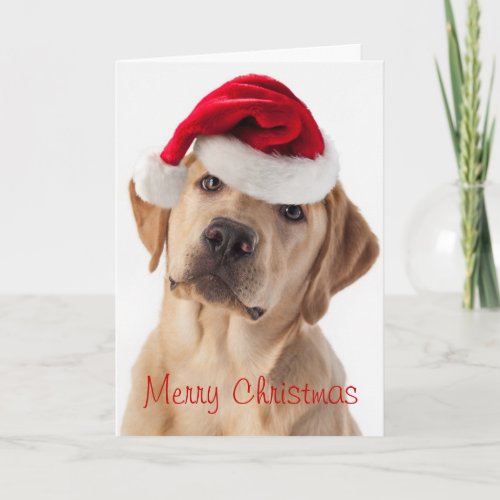 Cute Yellow Lab dog with Santa Hat Christmas card