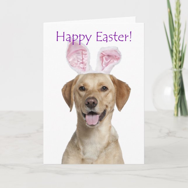 Cute Yellow Lab Easter Card (Front)