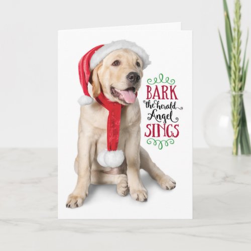 Cute Yellow Lab with Santa Hat Holiday