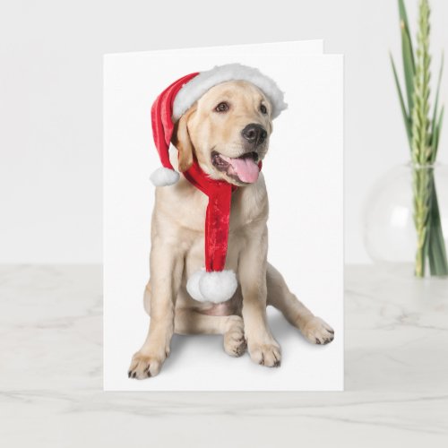 Cute Yellow Lab with Santa Hat Labby Holidays Holiday Card