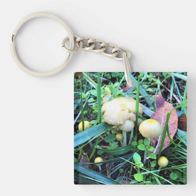 Cute Yellow Mushrooms, Oregon Keychain (Front)