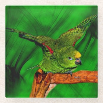Cute Yellow Nape Amazon Parrot Glass Coaster by SmilinEyesTreasures at Zazzle