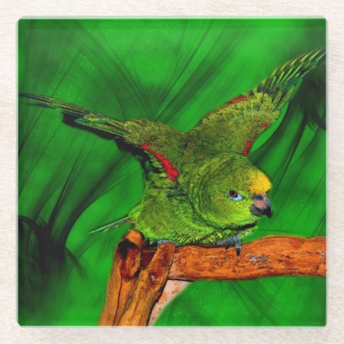 Cute Yellow Nape Amazon Parrot Glass Coaster