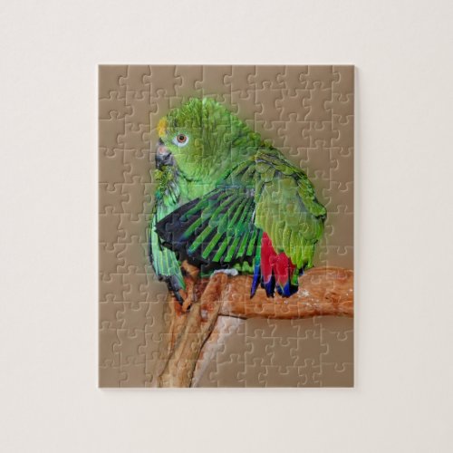 Cute Yellow Naped Amazon Parrot  Jigsaw Puzzle