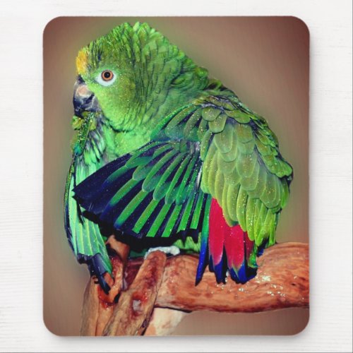 Cute Yellow Naped Amazon Parrot Mouse Pad