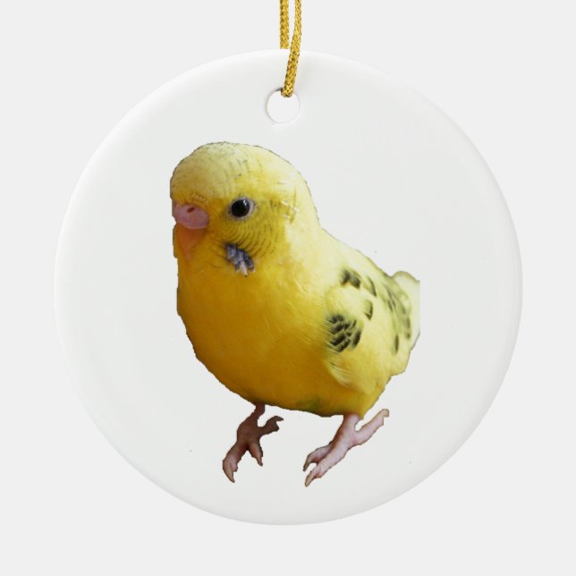 Cute Yellow Parakeet Friendly Pet Bird Photograph Ceramic Ornament (Front)