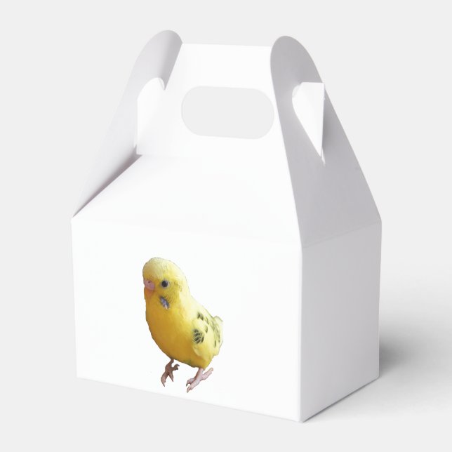 Cute Yellow Parakeet Friendly Pet Bird Photograph Favor Boxes (Front Side)
