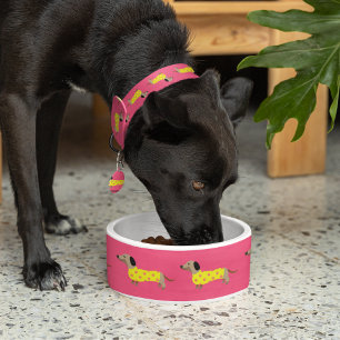 Cute Yellow & Pink Dachshund Dog Funny Bowl