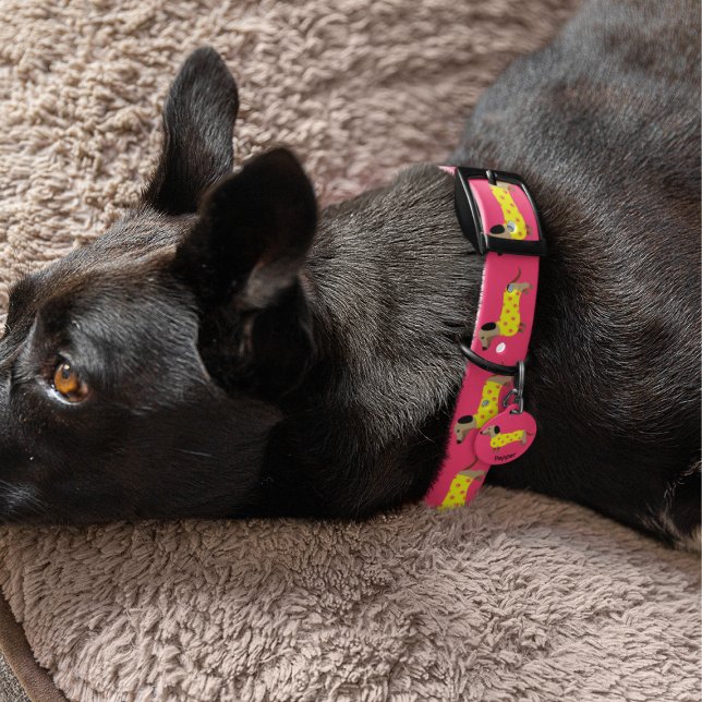 Cute Yellow & Pink Dachshund Dog  Funny Pet Collar (Creator Uploaded)