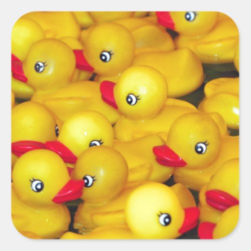 Cute yellow rubber duckies square sticker