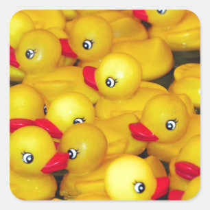 Cute yellow rubber duckies square sticker
