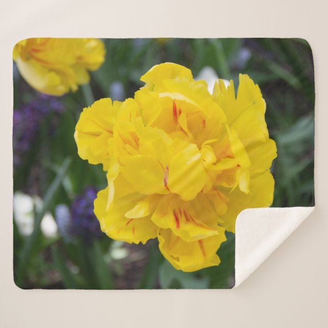 Cute yellow tulips in the garden sherpa blanket (Front (Horizontal))