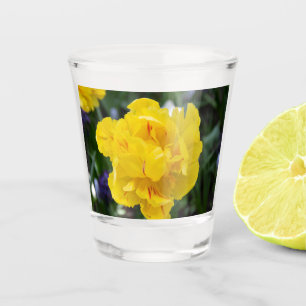 Cute yellow tulips in the garden shot glass