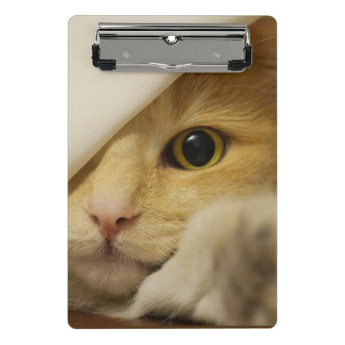 Cute Yellow White Kitten Face Mini Clipboard