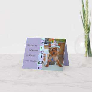 Cute Yorkie Birthday Card