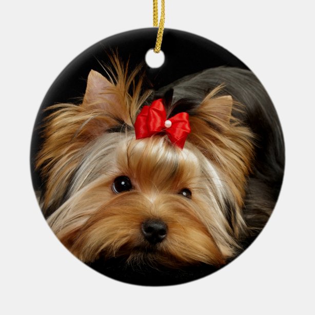 Yorkie Christmas Ornaments 
