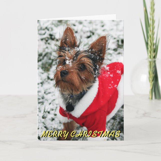 Cute Yorkie Christmas Card (Front)