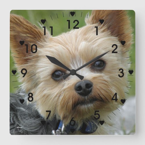Cute Yorkie clock