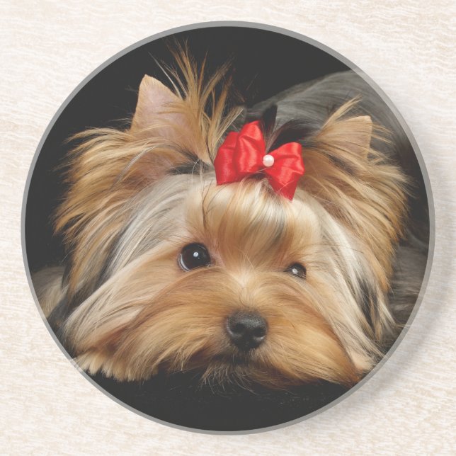 Cute yorkie drink coaster (Front)