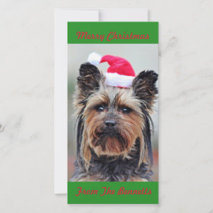 CUTE  YORKIE IN SANTA HAT FLAT HOLIDAY CARD