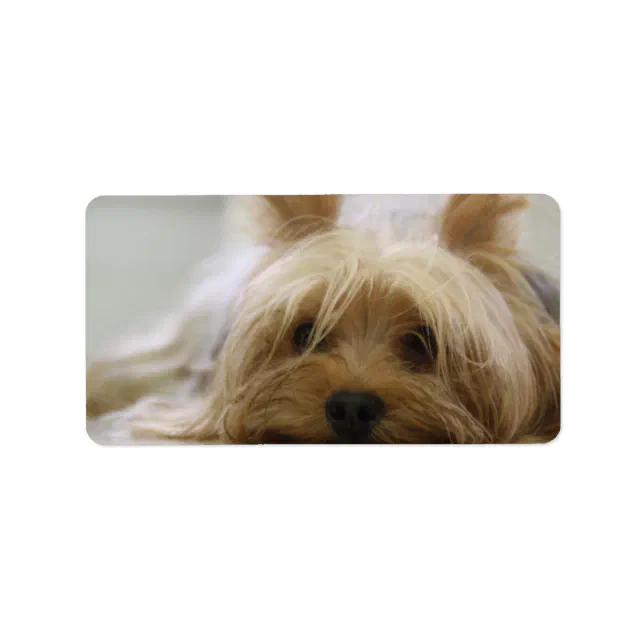 Cute Yorkie Label | Zazzle
