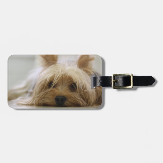 Cute Yorkie Luggage Tag (Front Horizontal)
