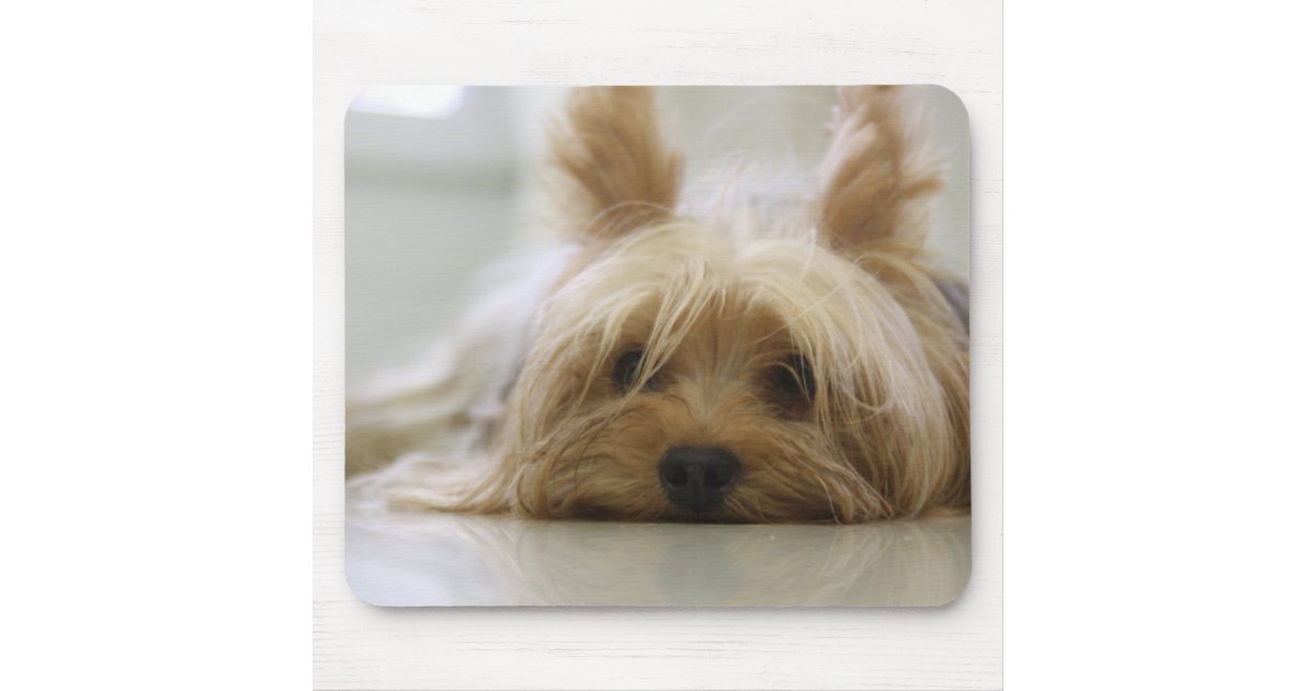 Cute Yorkie Mouse Pad Zazzle