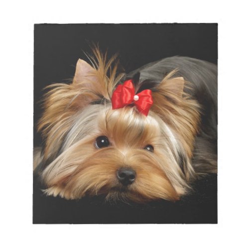 Cute yorkie notepad