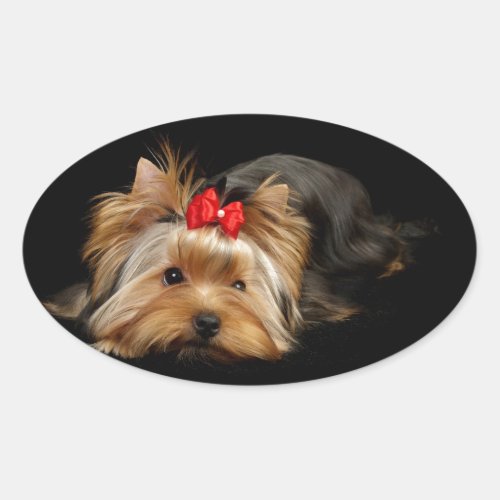 Cute yorkie oval sticker